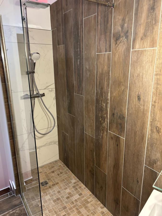 Chambre La Suite Pres Gare גרנובל מראה חיצוני תמונה